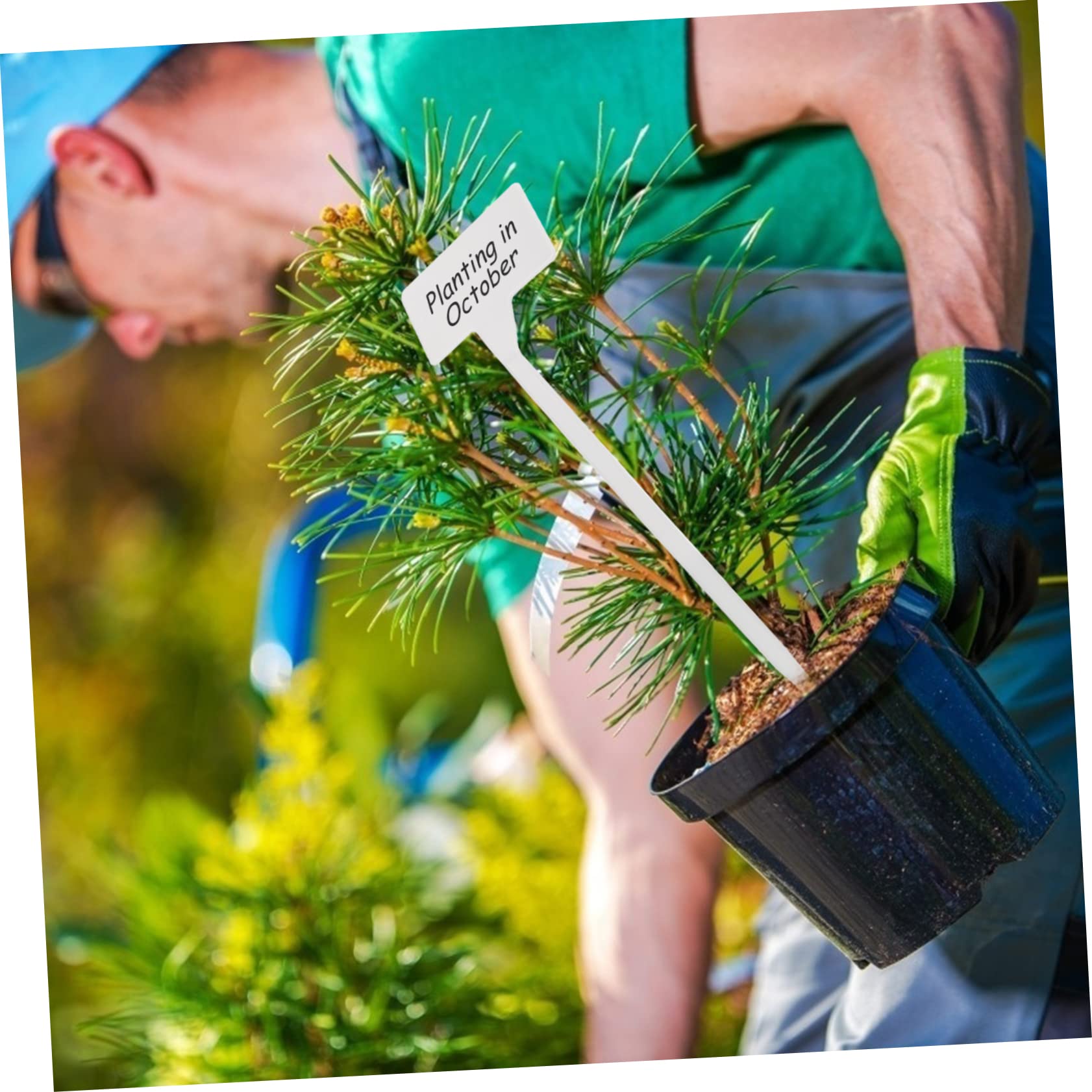 BESPORTBLE 60 Pièces Étiquette De La Plante Marqueur De Pépinière Fleur Marqueur Bande De Notes Végétales Étiquette De Signe De Plante Pots De Fleurs En Plein Plastique Blanche