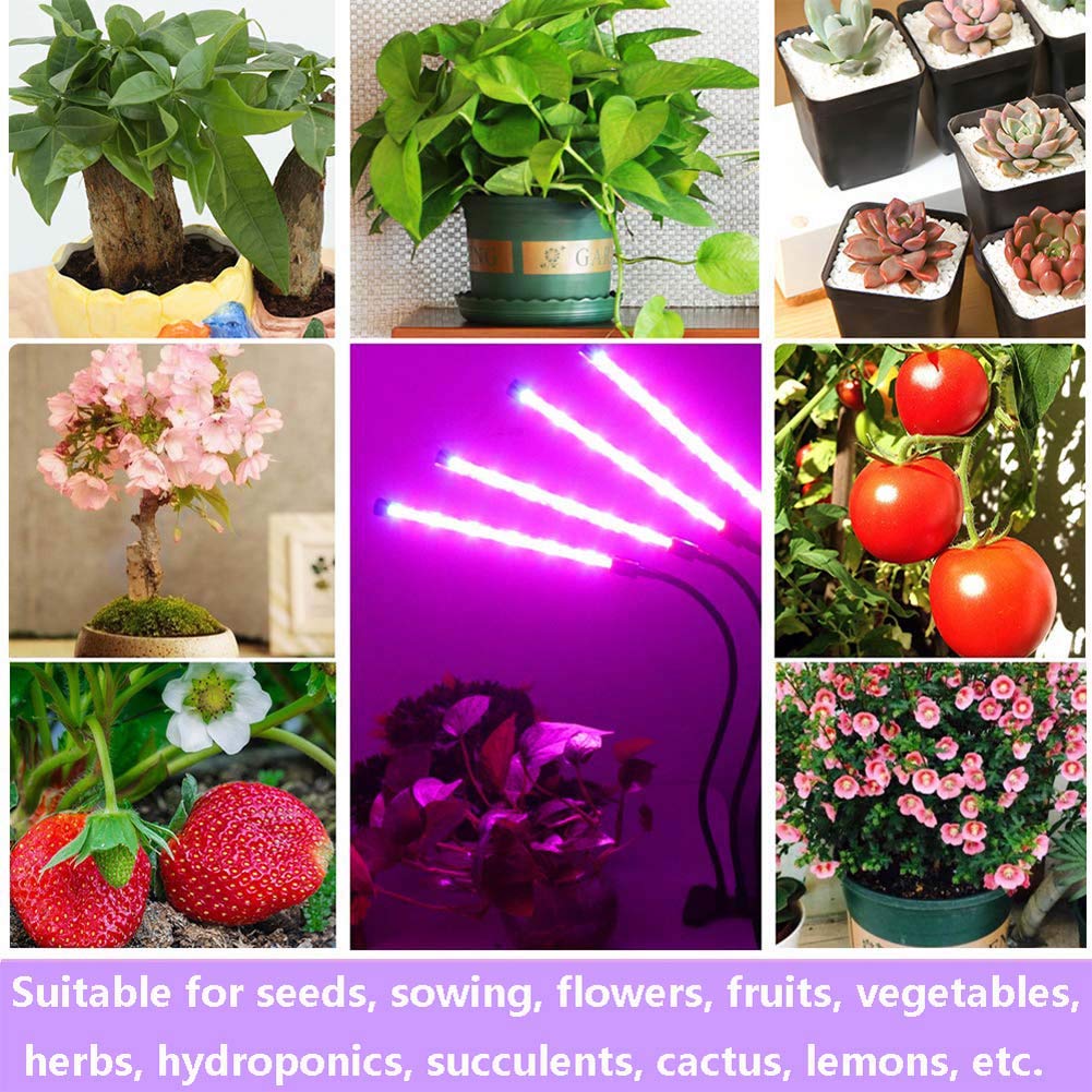 Luces de cultivo LED, lámparas de cultivo de plantas de 4 cabezas para plantas de interior, cuello de cisne ajustable con clip de escritorio encendido, bombillas de lámpara