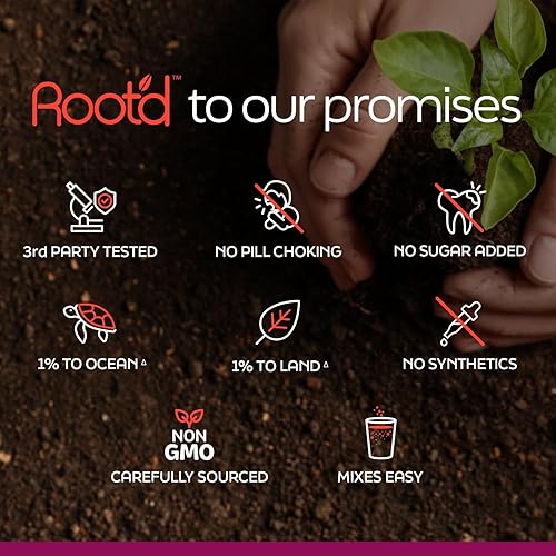 Miniatura 7 de Root'd Multivitamínico en polvo para mujeres – 25 vitaminas y minerales con 3 electrolitos, 9 superalimentos orgánicos, probióticos y enzimas,