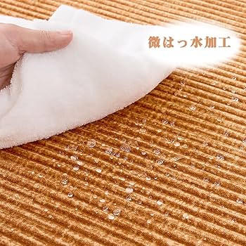 【特価セール】aicomri カーペット ラグ ラグマット 低反発 厚手15 m Amazon｜aicomri カーペット ラグ ラグマット 1.5畳 低反発 厚手