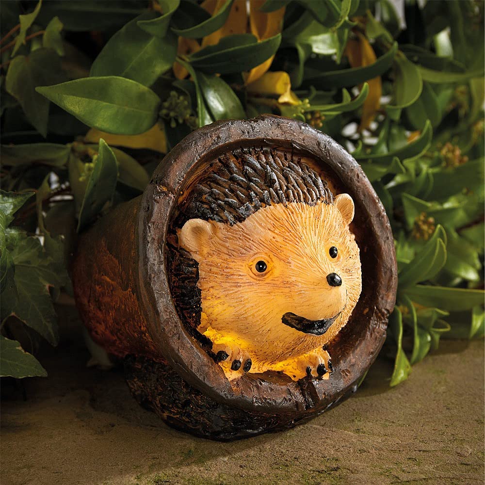 Coopers of Stortford Hedgehog Solar Light 11 x 11.5 x 14.5cm