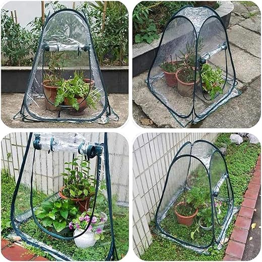 überwinterungszelte, überwinterungszelt Für Pflanzen,Mini Gewächshaus,gewächshaus Balkon Pflanzenzelt Zum überwintern ,Mobiles Gewächshaus Zum überwintern Frostschutz Pflanzen (70x70x80)