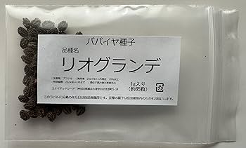 パパイヤ種子（タネ）　品種名　リオグランデ　10g（約650粒） パパイヤ種子（タネ） 品種名 リオグランデ 10g（約650粒）