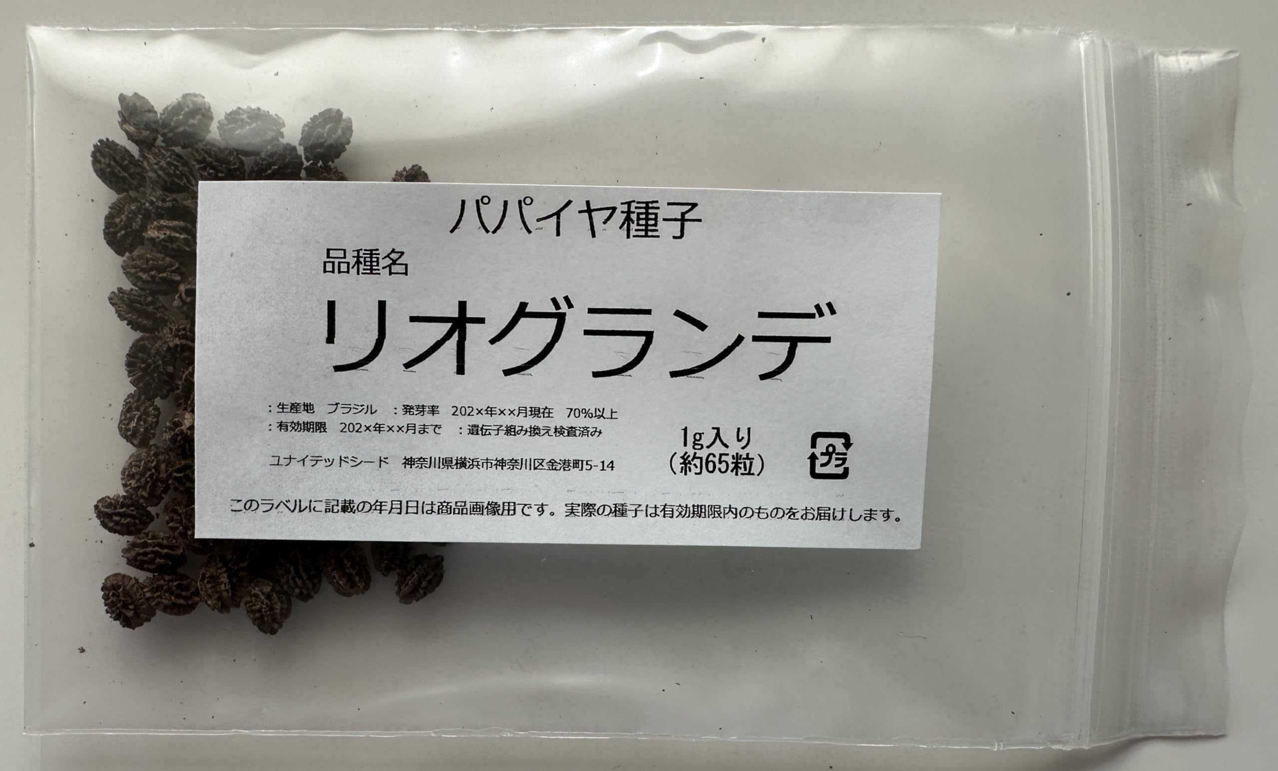 パパイヤ種子（タネ）　品種名　リオグランデ　100g（約6500粒） パパイヤ種子（タネ） 品種名 リオグランデ 100g（約6500粒）