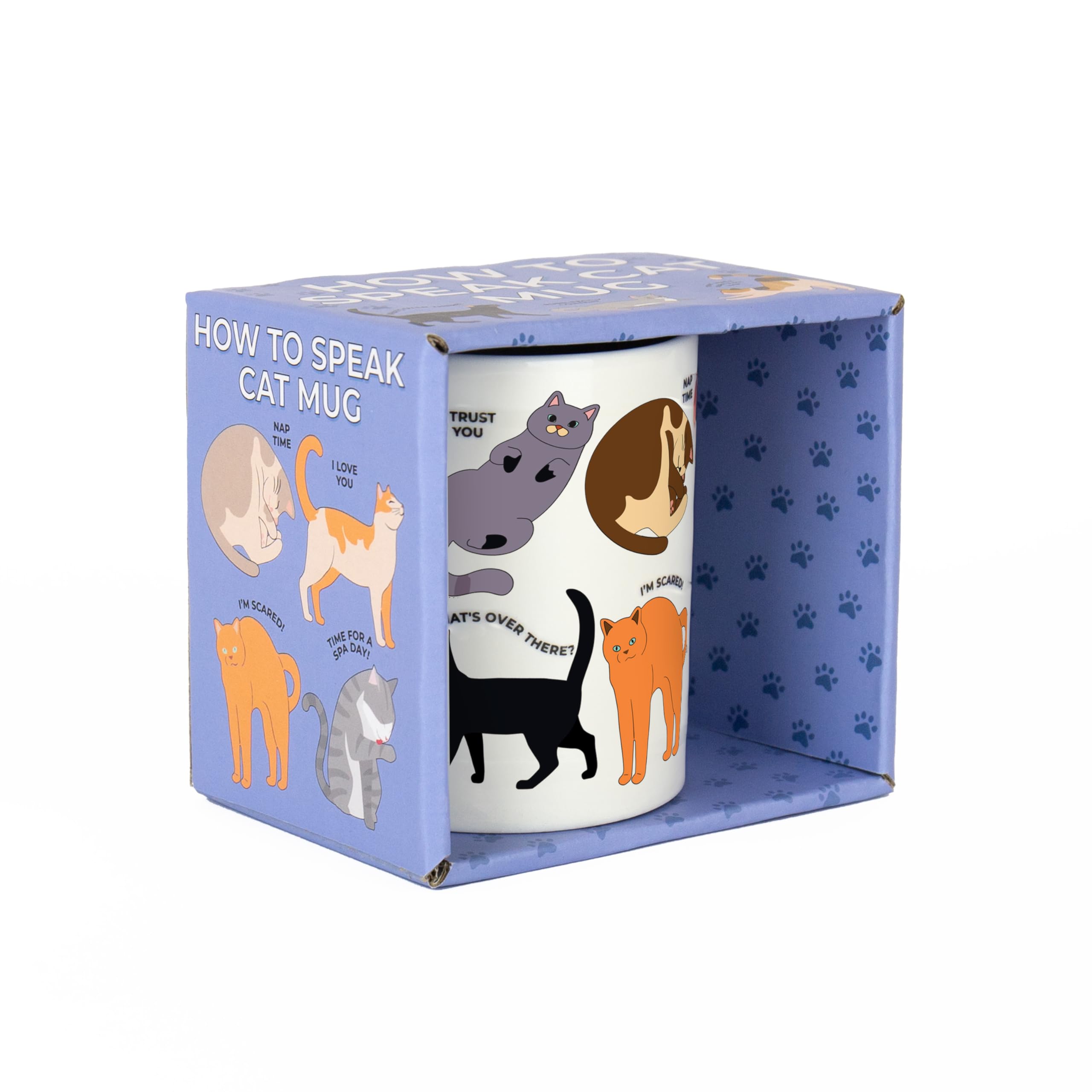 Gift Republic  Blue How To Speak Cat Mug in Size S, Sports Direct