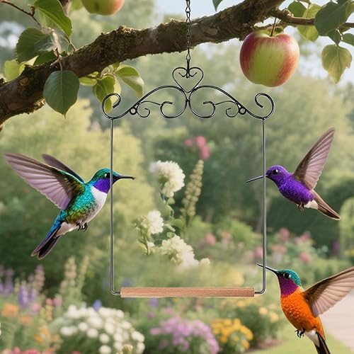 Miniatura 3 de Columpios y perchas de colibrí  Columpio de colibrí para exteriores  Columpio de pájaros con marco de metal con cadena colgante de hierro para