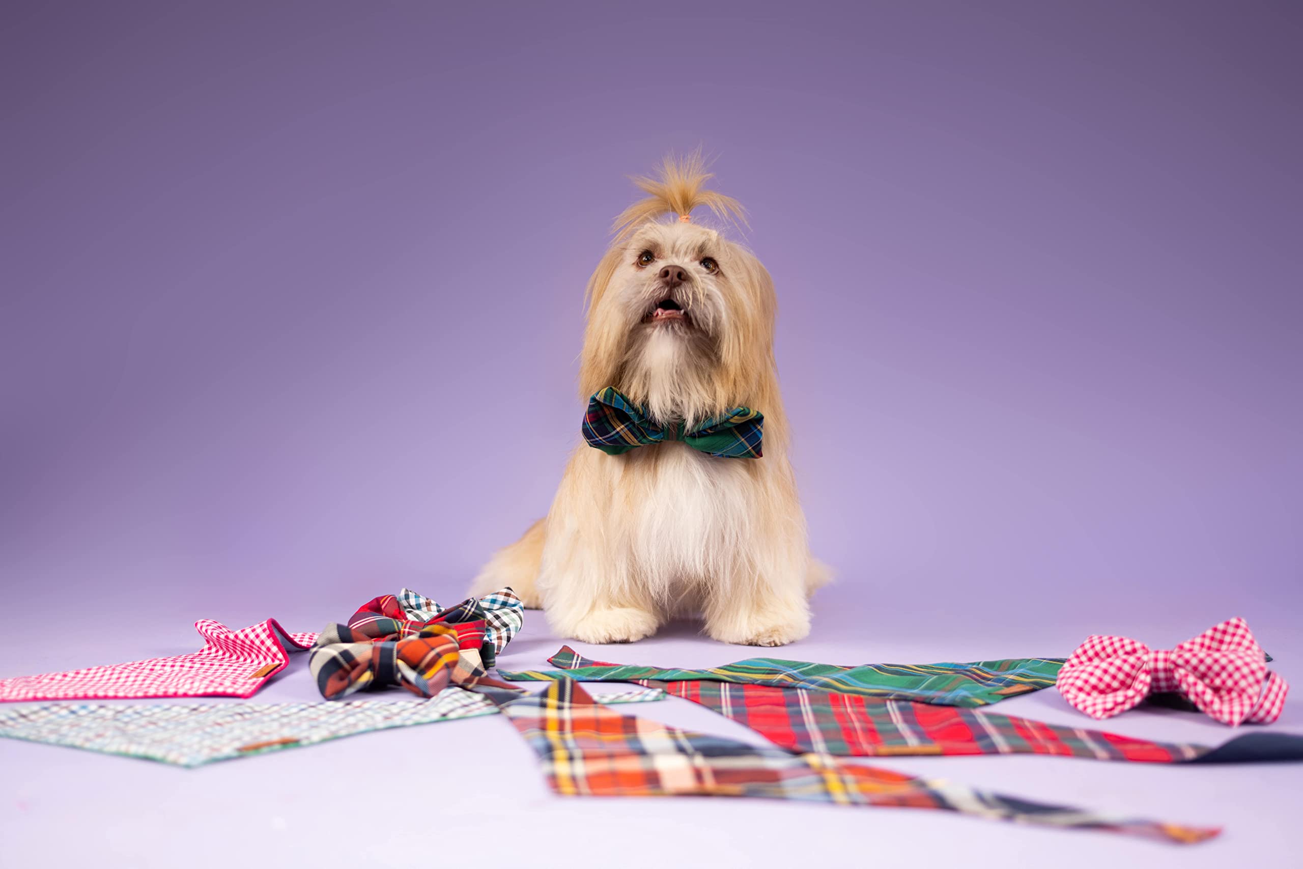 Pets Way Dogs Bow Tie, Fashionable Neck Bow Tie/Necktie for Weddings & Festivals, Dog Gifts for Puppy/Cat/Kitten (Pack of 1) (S, Elf Checks) (B0BQ3NCVXF) Amazon Price History, Amazon Price Tracker