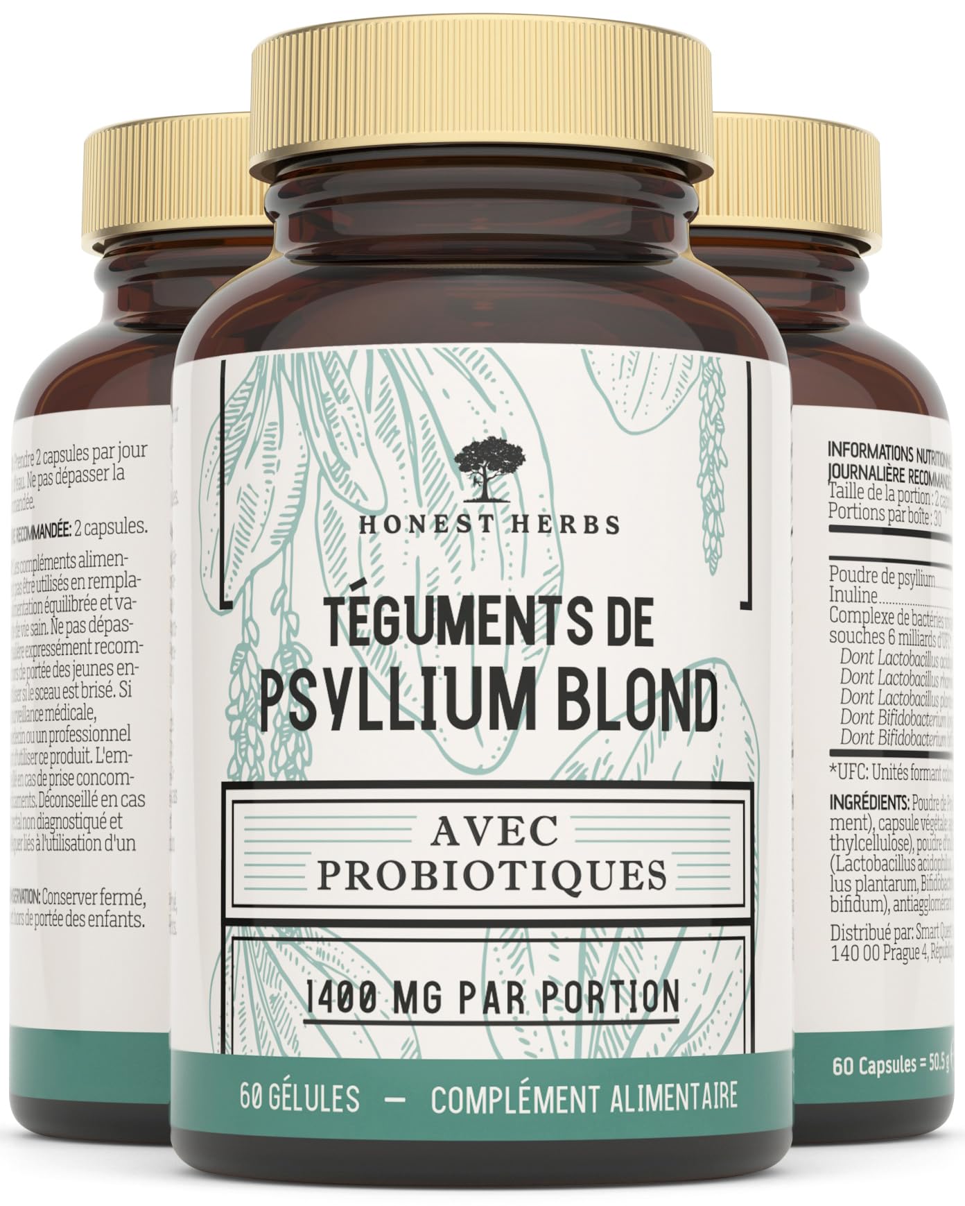 Psyllium Blond avec Probiotiques 1400 mg - Téguments purs à 99% - 60 gélules - Transit, Digestion, Fonction Intestinale - Fibres alimentaires avec Psyllium Husk & Complexe - Probiotique 6 Milliards