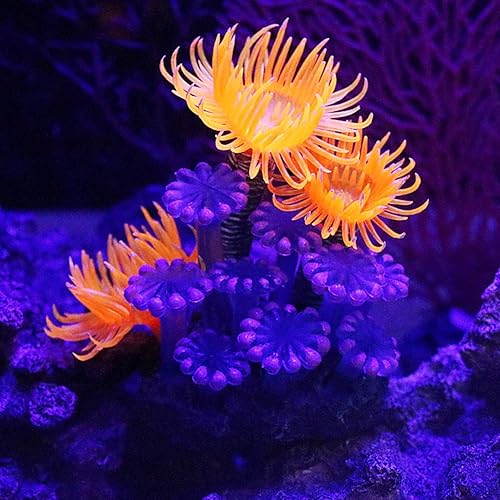Miniatura 3 de TOPINCN Coral artificial, planta de simulación luminosa de silicona coral anémona de mar para decoración de paisajes de peces, adornos de acuario