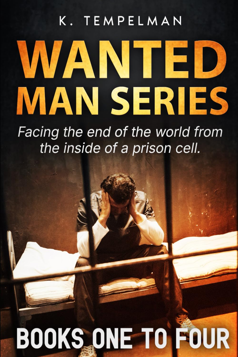 Wanted Man Series: Four Post-Apocalyptic World Books