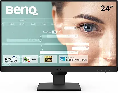 BenQ 24 Monitor