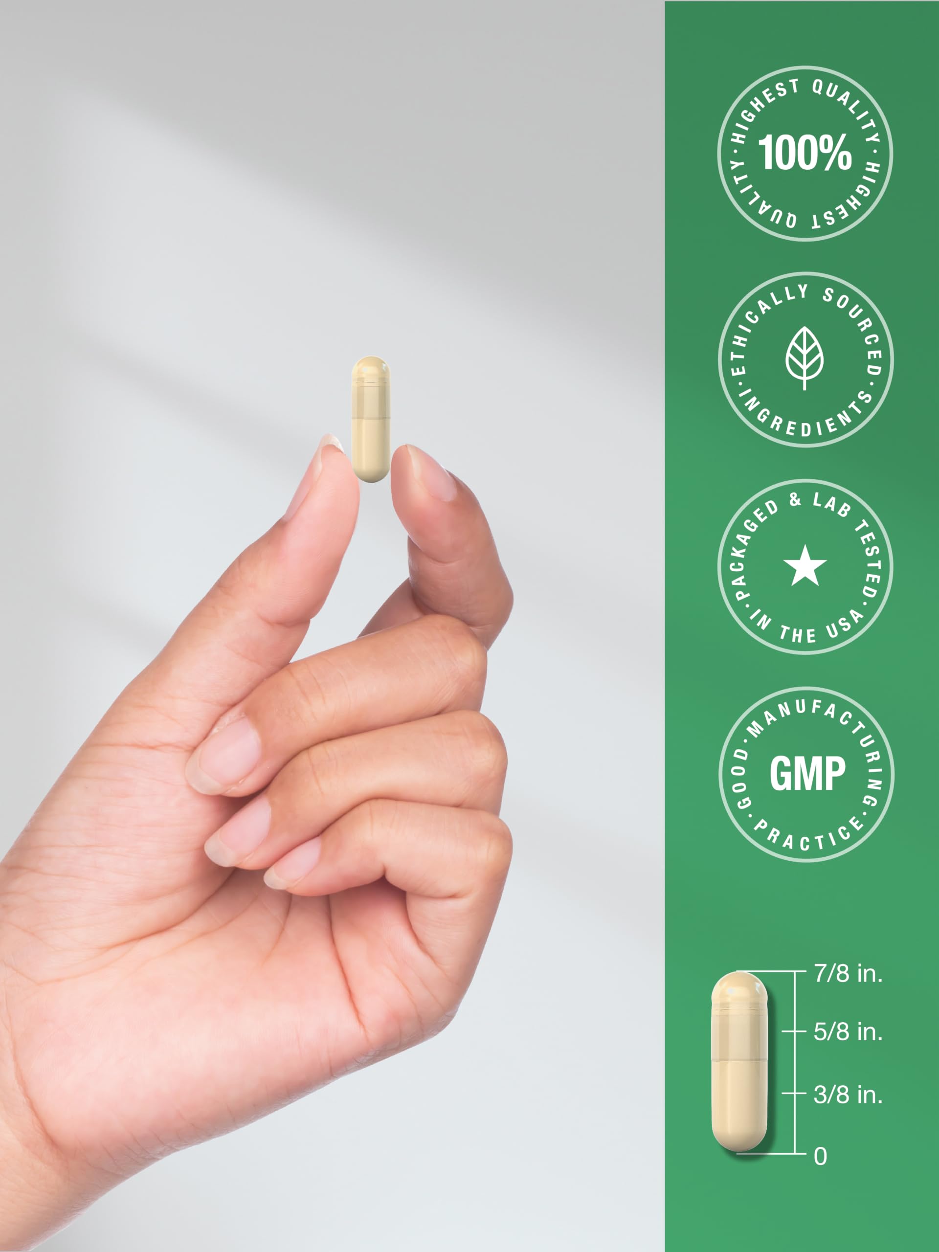 Horbäach Ceylon Cinnamon Supplement | 150 Capsules | Herbal Extract Pills — Amazon image 7
