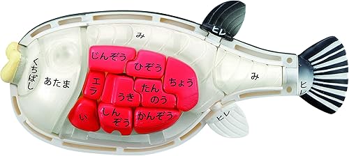 Vista 86 de Megahouse - Rompecabezas de carne, rompecabezas Kaitai