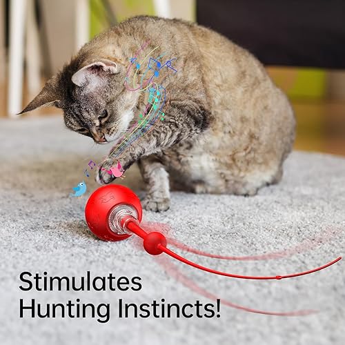 Miniatura 2 de Juguete interactivo para gatos de interior, bola eléctrica automática autogiratoria con chirrido, luz LED y cola larga para activar el movimiento,