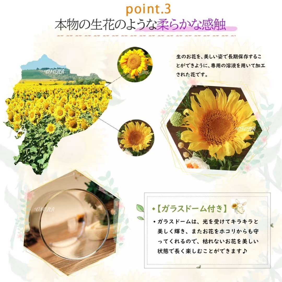 ひまわり様 リクエスト 6点 まとめ商品 向日葵サブレ 10個入 | 乙女屋 USVショッピングサイト