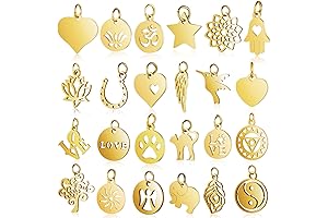 15 Piezas de Amuletos de Acero Inoxidable en Estilos Mixtos para Haciendo...