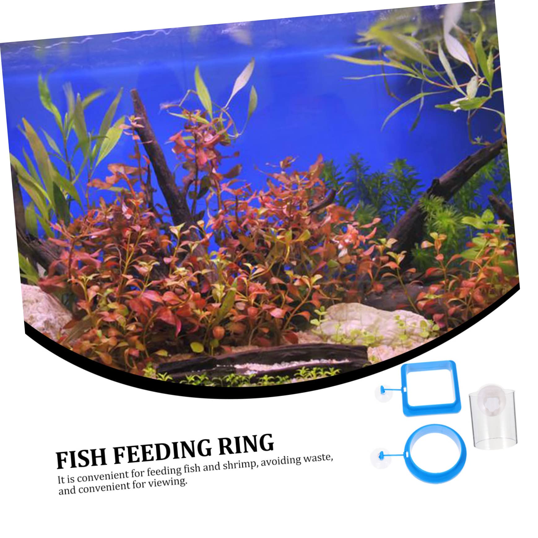 Happyyami 9stücke Teiliges Fischfutterringe Schwimmende Futterspender Für Aquarien Geeignet Für Garnelen Und Tropische Fische Installieren Design Für Süß Und Salzwasser
