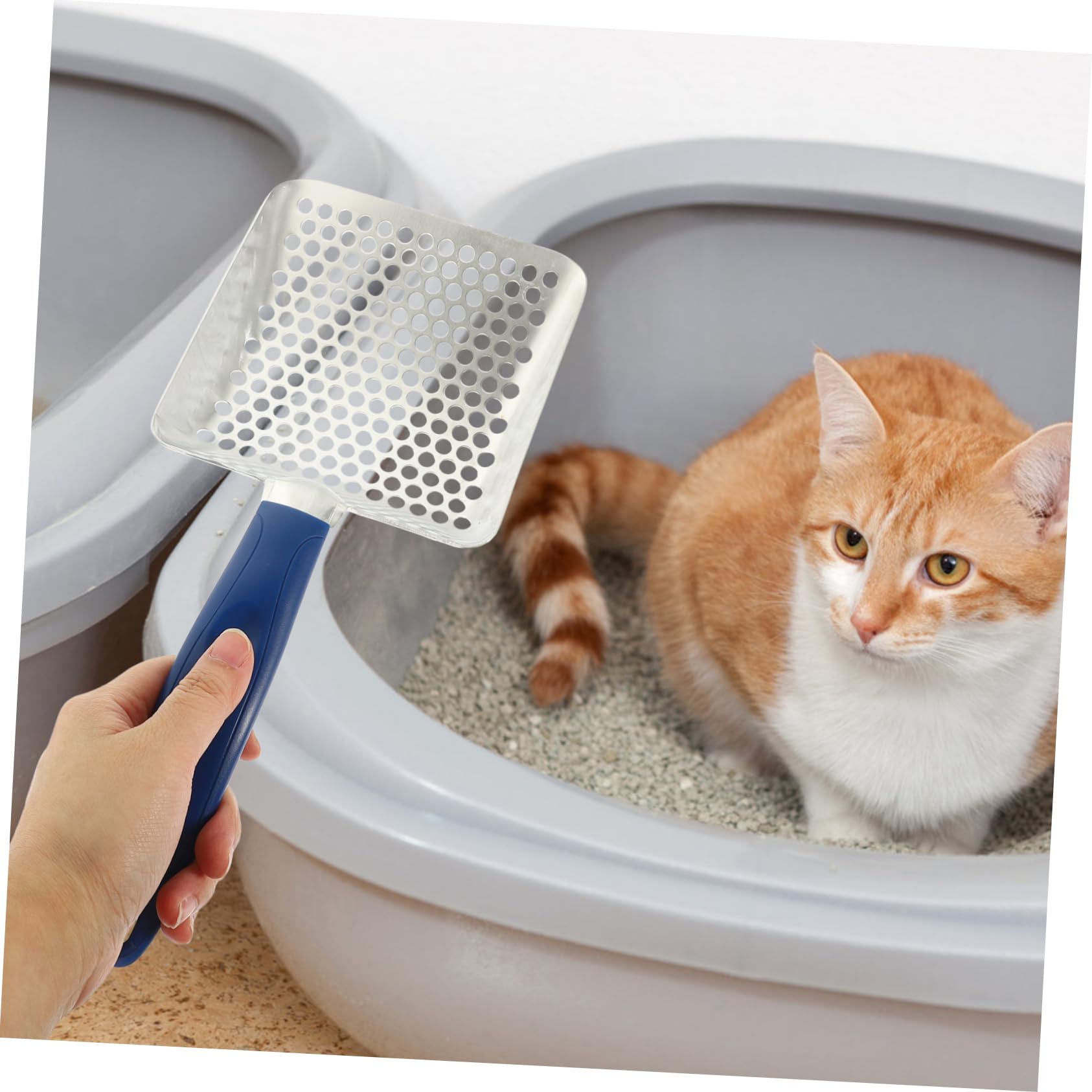 paletta per lettiera per gatti, 2 pale per lettiera per gatti, extra large, strumento di pulizia per animali domestici, colore casuale (As shown x 3 pieces, 32 x 13 cm x 2 pezzi)