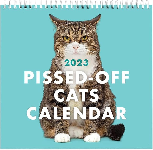 2023 Pissed-Off Cats Calendar, Funny Cat Wall Calendar, Cats Wall Calendar 2023, Creative Calendar Cat Hanging Calendar, Cute Monthly Calendars for Cat Lovers