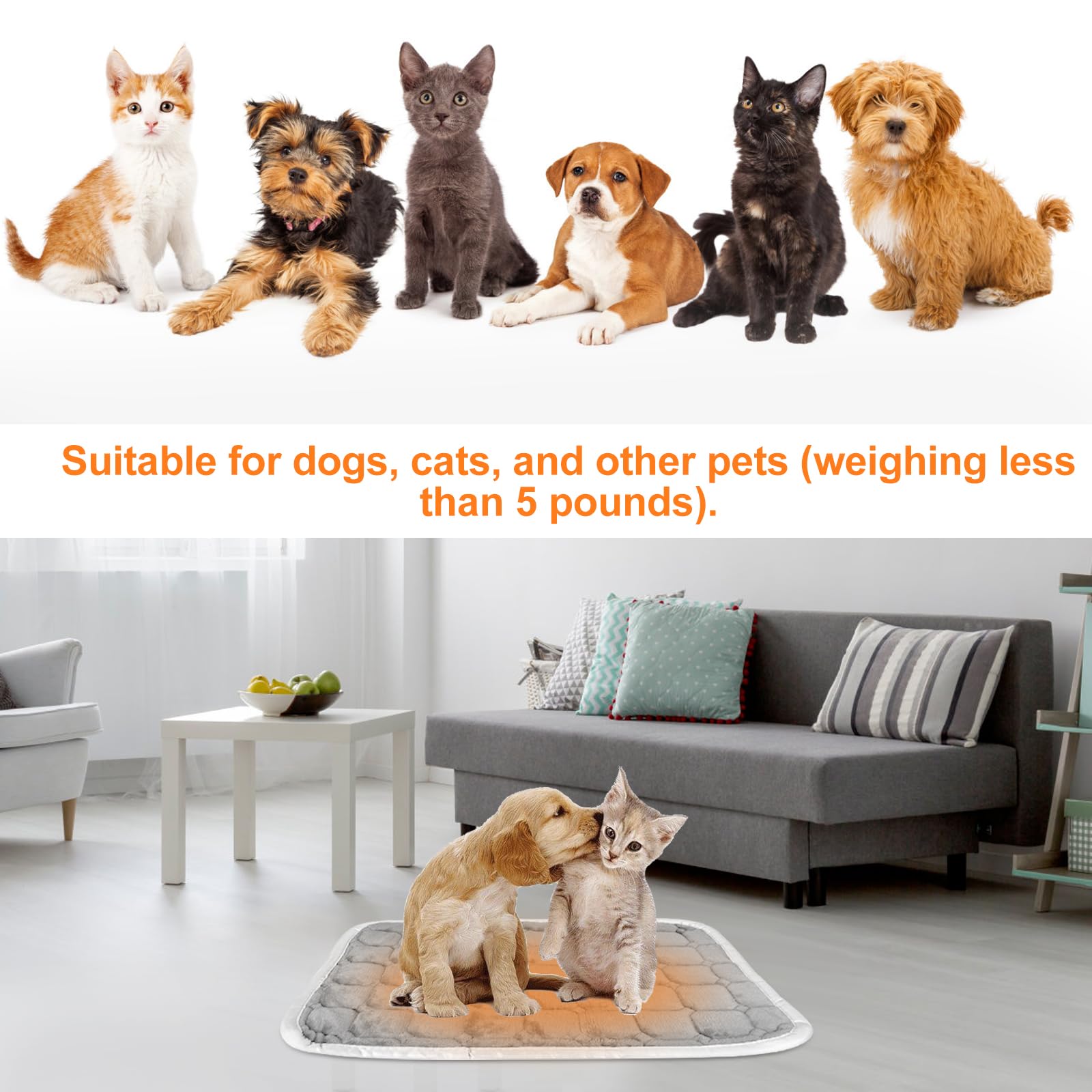 Couverture Auto-Chauffante pour Chats et Chiens - Tapis Chauffant pour Animaux de Compagnie, 59 x 44 cm, Taille M - Couverture Thermique Lavable pour Chiots - Tapis pour l'Hiver