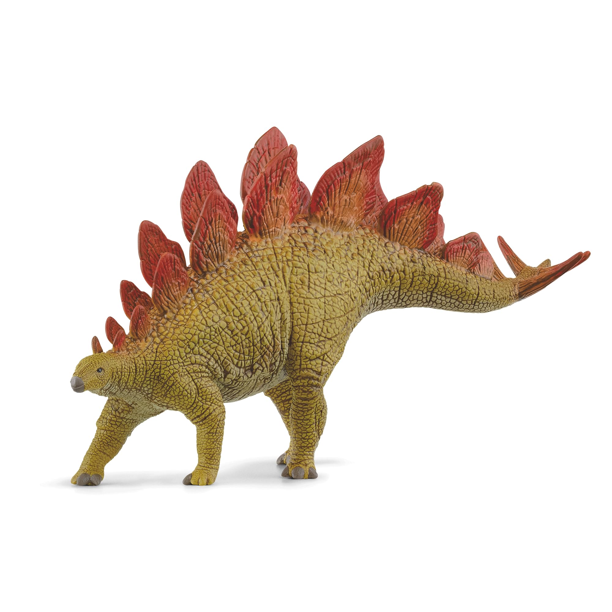 SCHLEICH Dinosaurs | Stegosaurus 15040 | detailgetreuer Dino | Dino Spielzeug zum Sammeln | tolles Geschenk für Mädchen und Jungen Dinosaurier Spielzeug ab 3 Jahre | 5 x 20 x 10 cm
