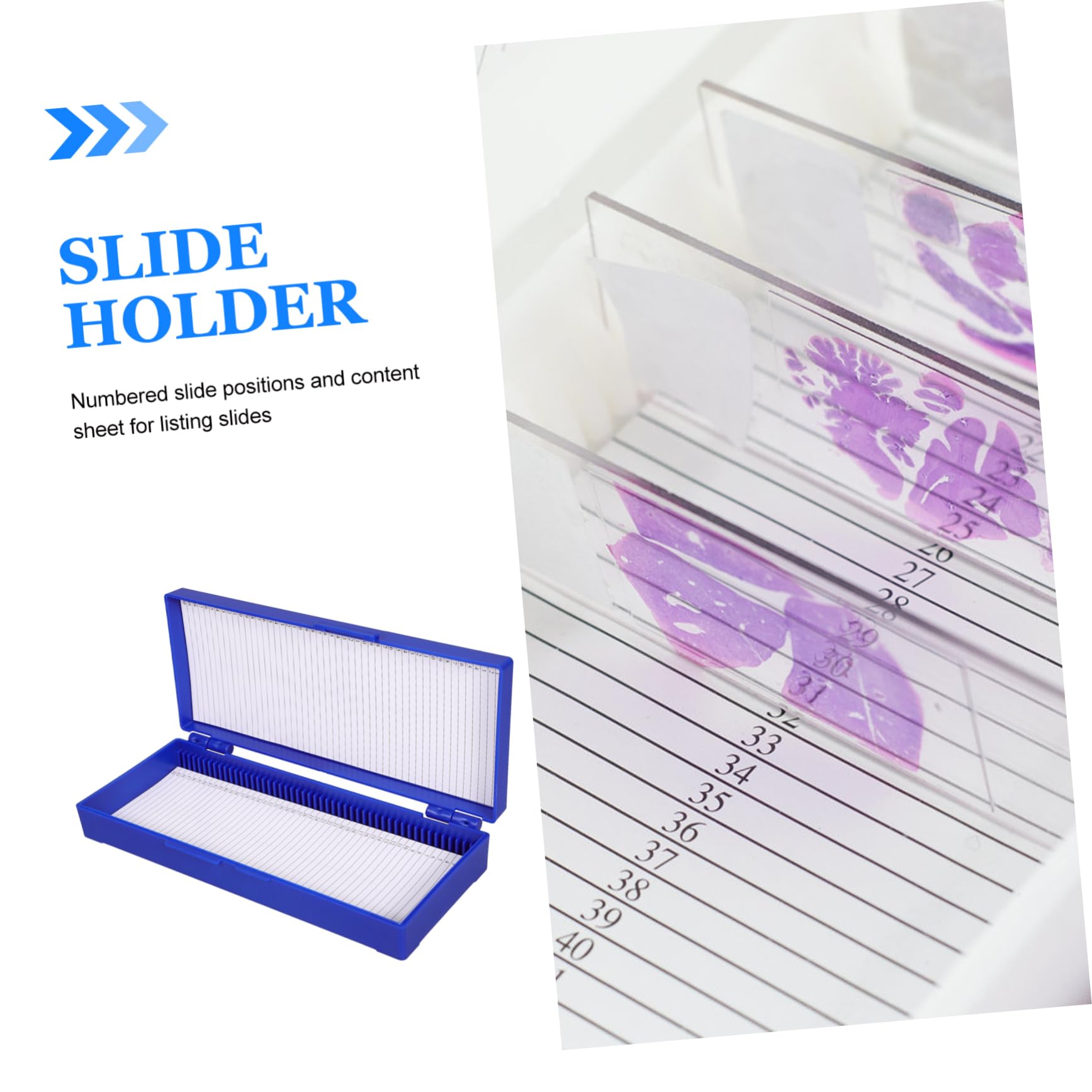 HOMOCONO 2pcs 50 Slide Mailer Lab Slide Cubreobjetos Slides Cajas Organizadoras Slide Storage Case Pathological Slide Storage Slide Storage Holder Microscope Slide Drying Rack Blue