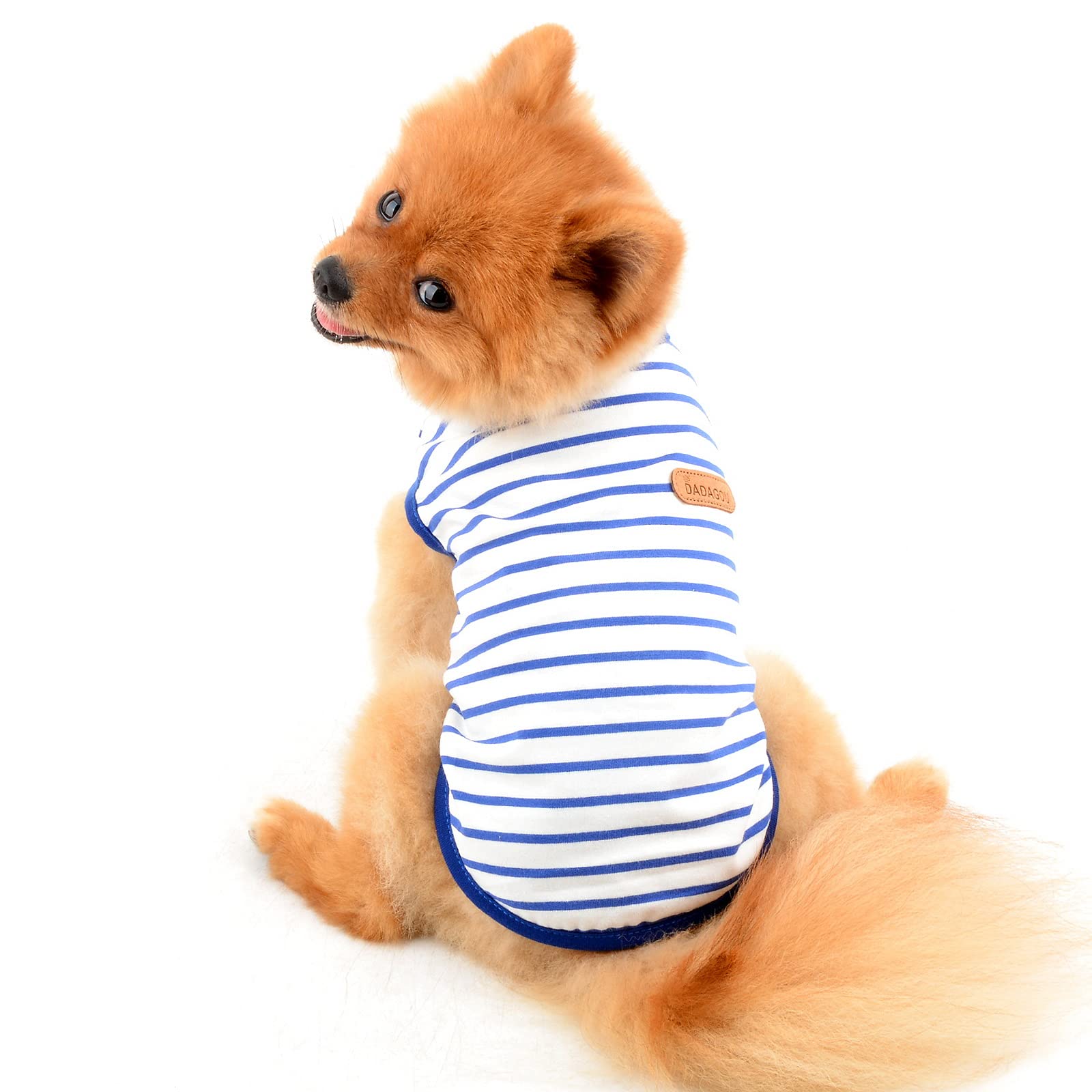 PAIDEFUL Chemise britannique pour petit chien rayée, gilet pour chat, T-shirt en coton doux pour garçon, vêtement pour animal de compagnie, T-shirt d’été pour chiot, Chihuahua, Yorkie, respirants