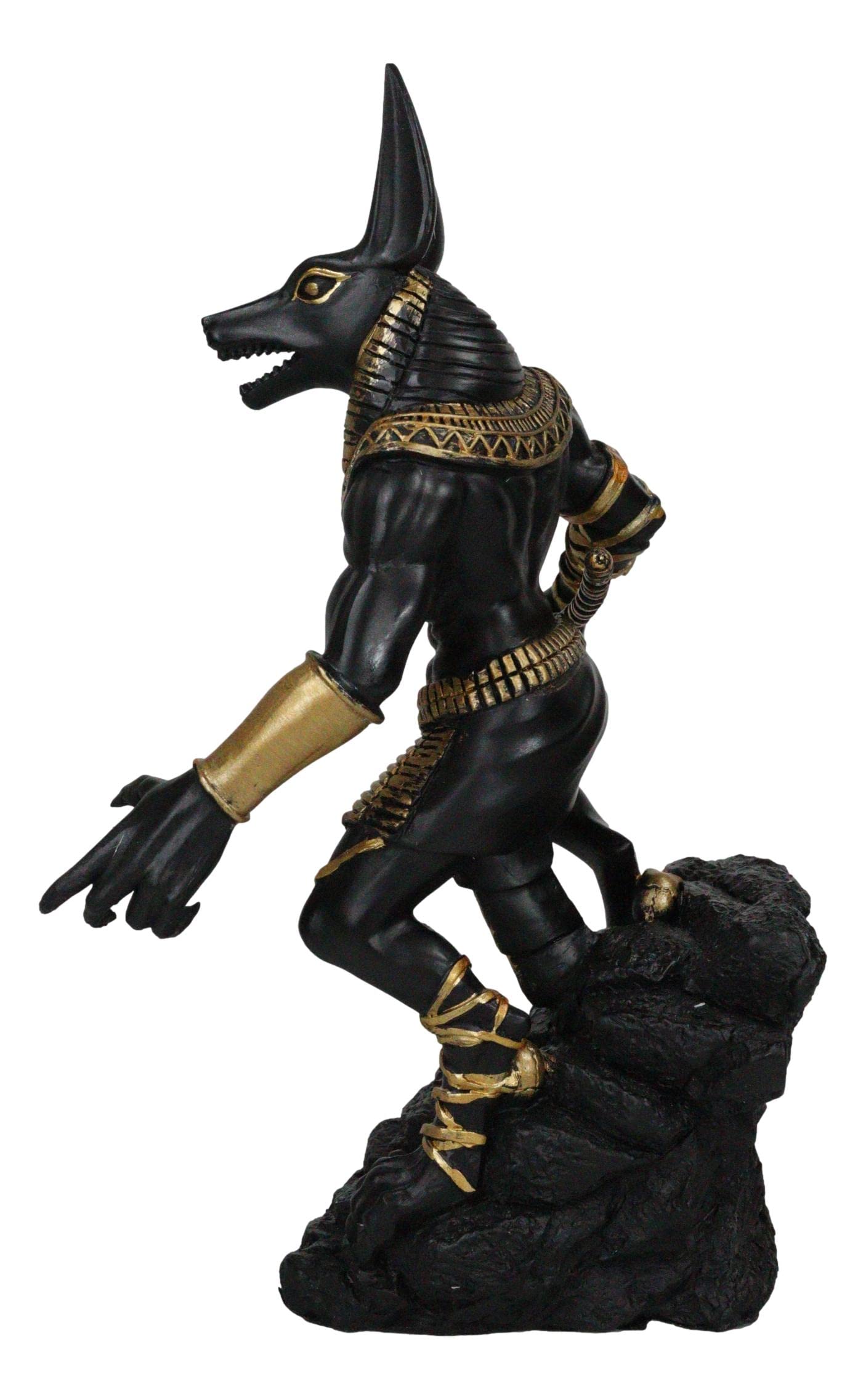 Ebros - Figurine de dieu Jackal Anubis avec bâton d'Ankh debout sur des crânes rocheux - Dieux de la divinité des morts - Sculpture de la Mummification et de l'après-vie