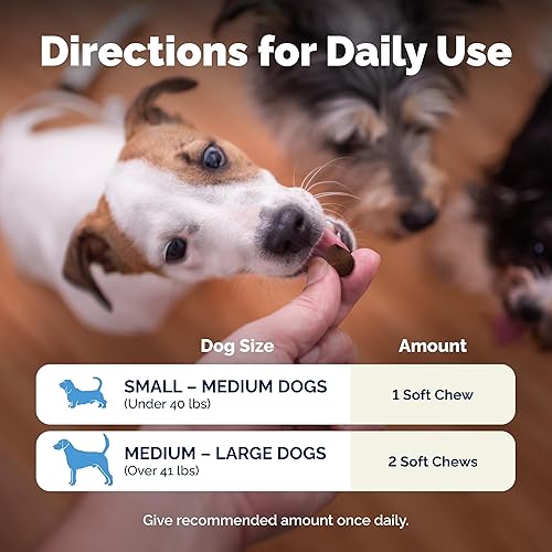 Miniatura 7 de Vetnique Glandex Probióticos diarios para perros con prebióticos para apoyar la salud intestinal con fibra y enzimas digestivas, masticables