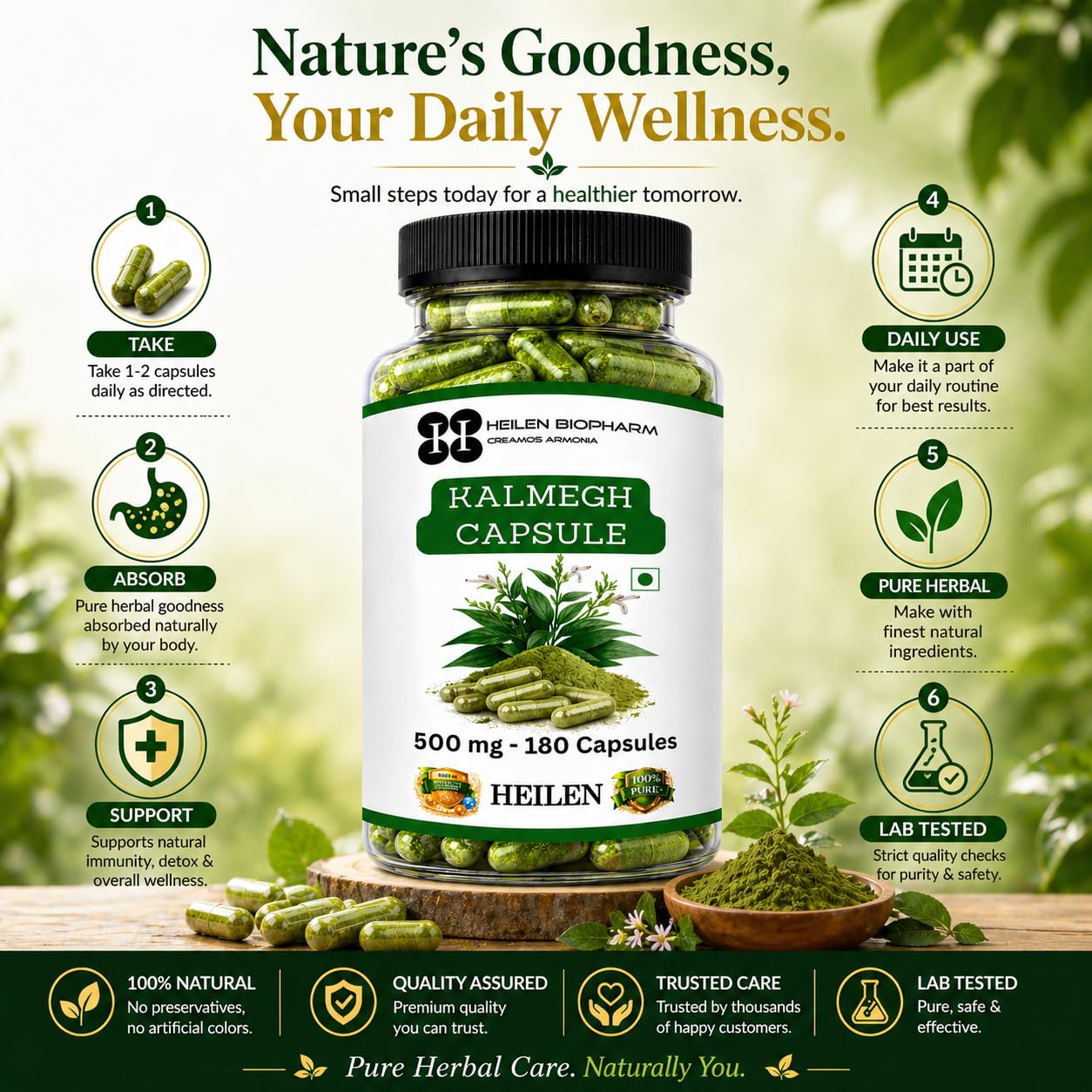Heilen Biopharm Kalmegh Capsules 500mg (180 Capsules) | Kalmegh Herb (Andrographis paniculata) Ayurvedic Supplement | Supports Liver Wellness & Immunity | Vegetarian Capsules — Amazon image 9