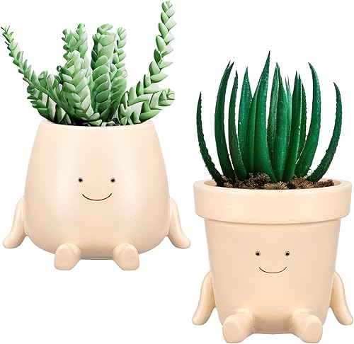 Miniatura 8 de Domensi 2 macetas colgantes con columpio, bonitas macetas para plantas al aire libre, interiores, cabeza colgante de cara, macetas para suculentas