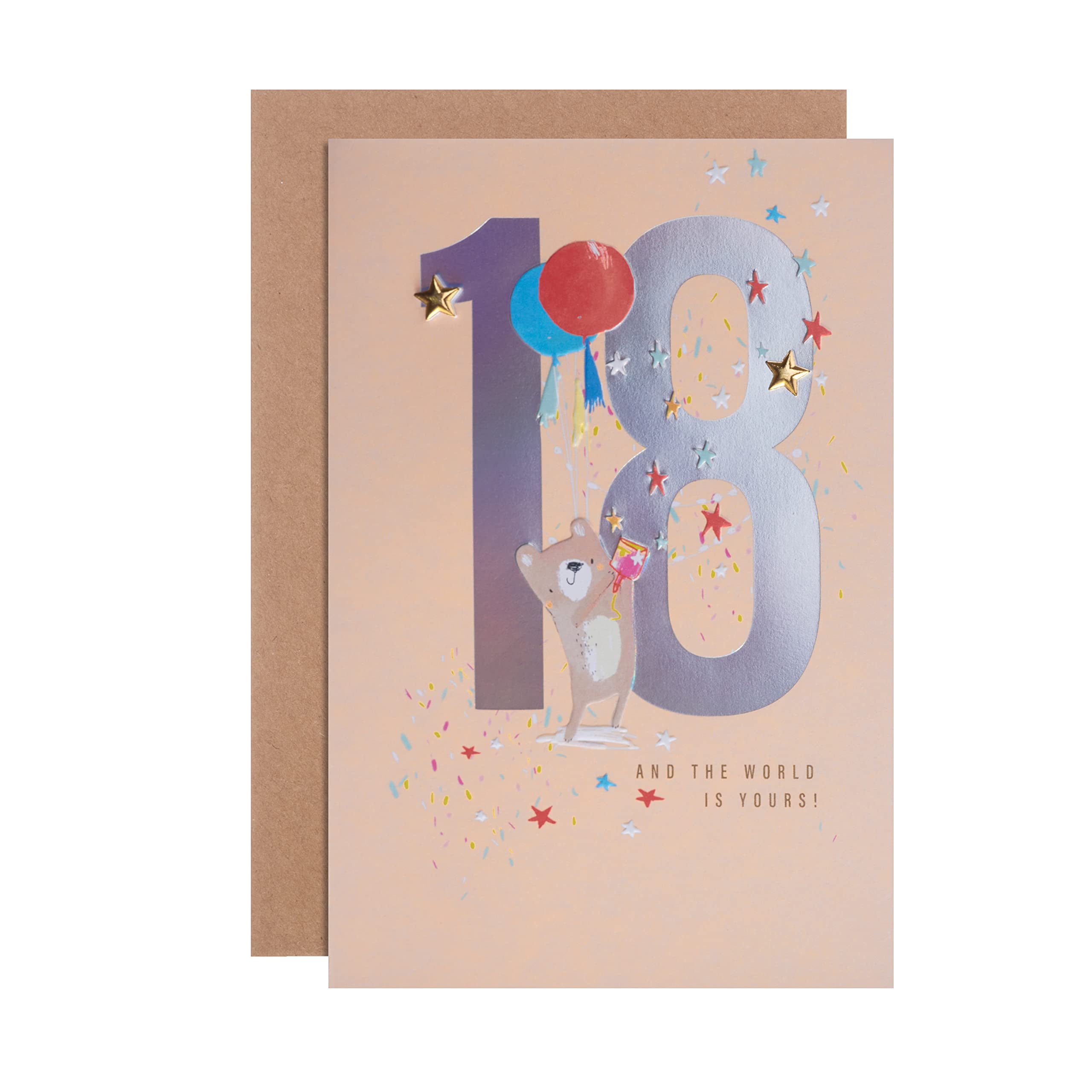 Hallmark 18th Birthday Card - Contemporary Holographic Illustrated Bear Design