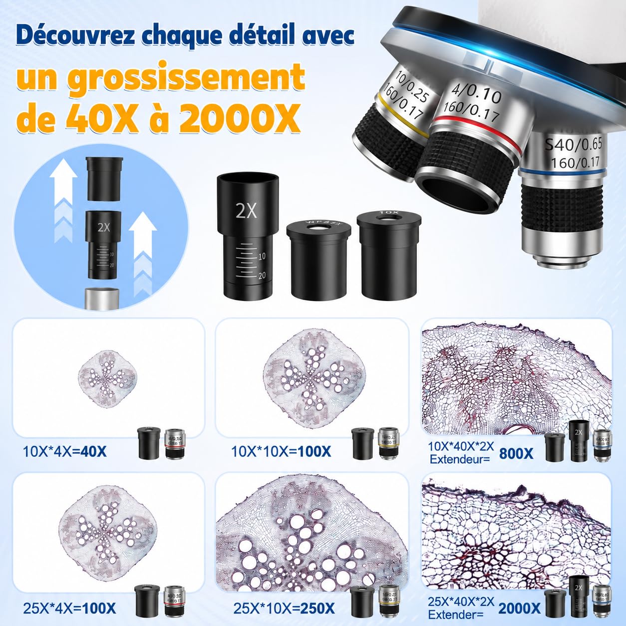 Microscope Compose 40X-2000X Enfant Adulte Biologique STEM Cadeau