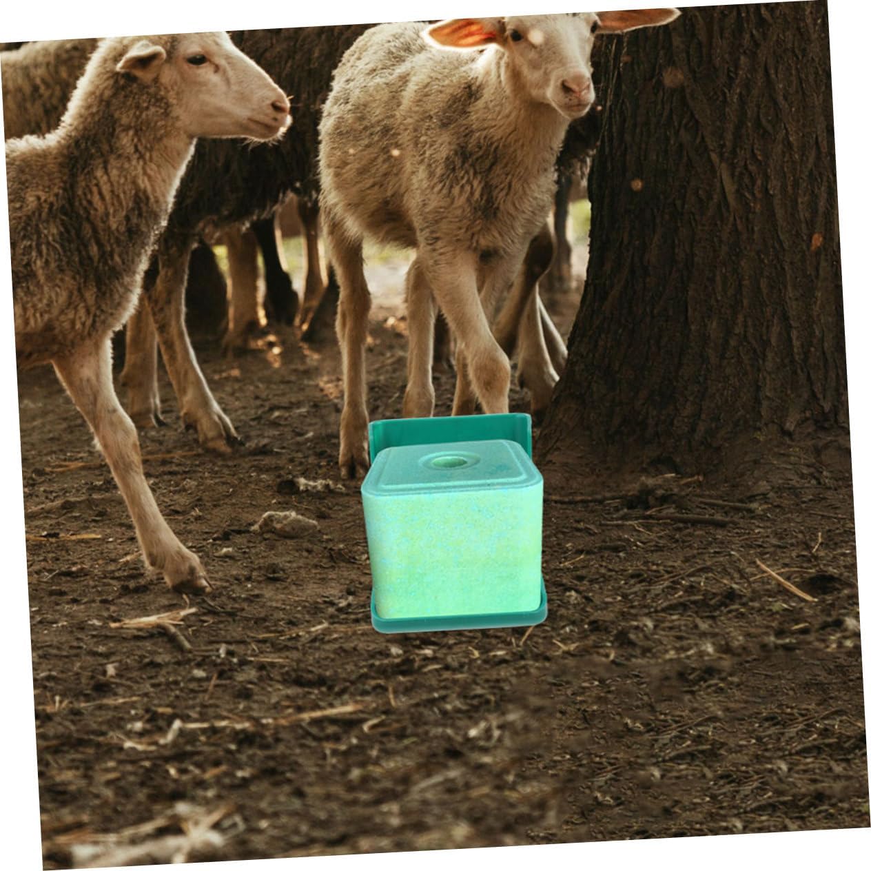 TOYANDONA 2pcs Livestock Salt Brick Feeding Box Cattle Sheep Licking Salt Blocks Holder Easy to Clean Cow Mineral Feeder with