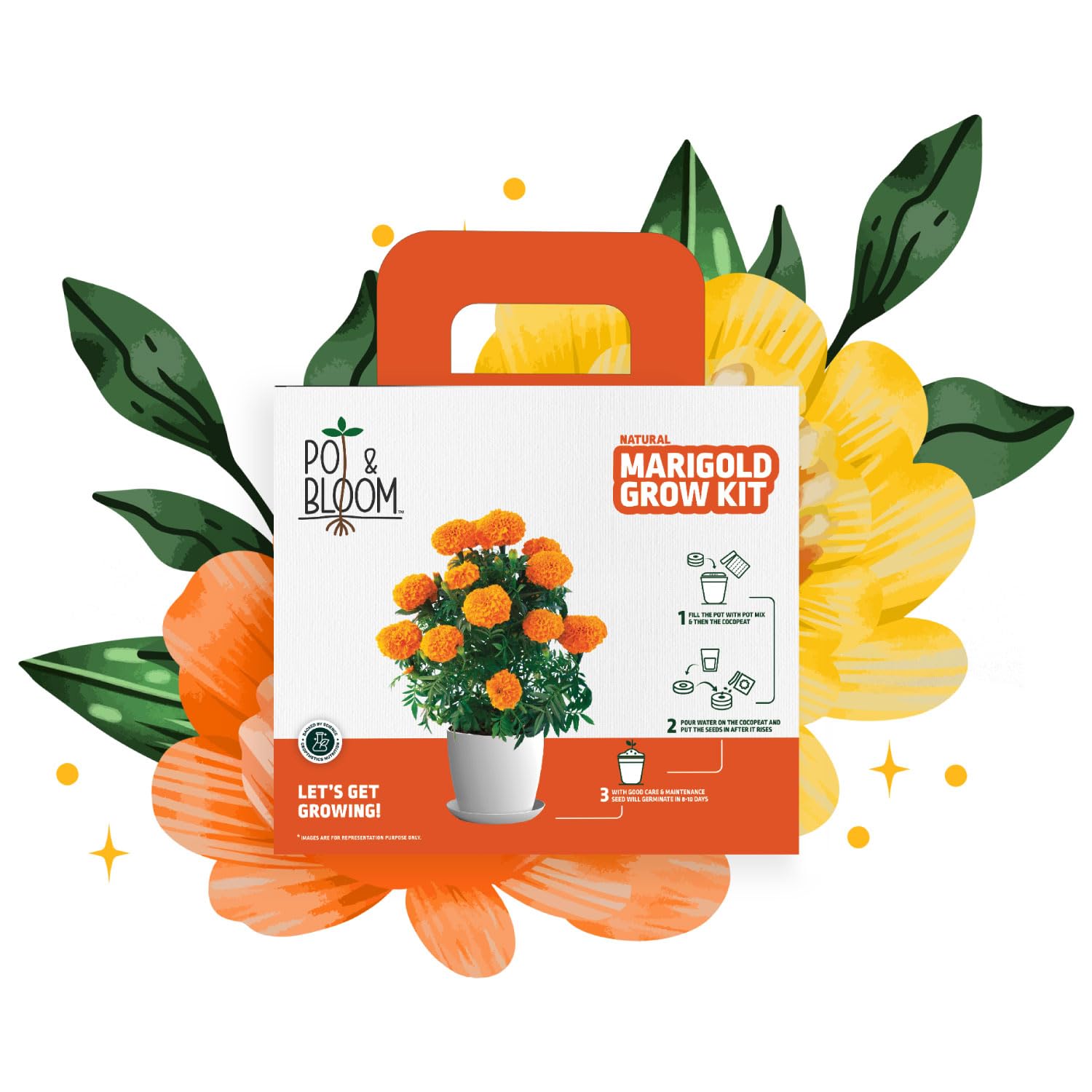 Marigold Kit| Plant for Home Gardening| Plant Seeds, A Pot, Potting Mix (Soil & Fertilizer Mix), Nutrition and Protection Spray| Gardening Kit For Beginners | DIY Kit
