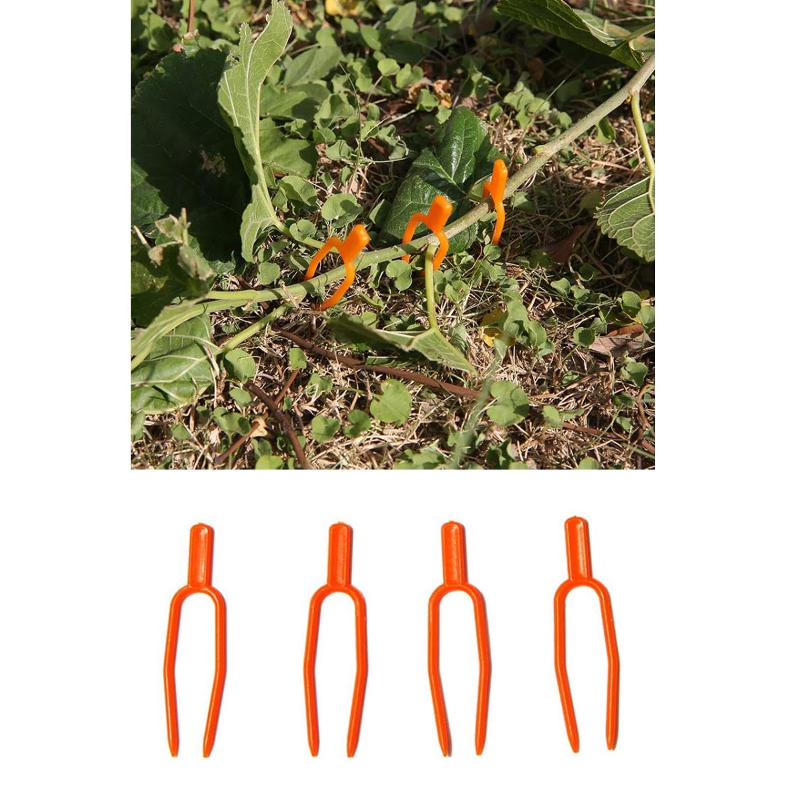 最終値下げ!植物サポート 園芸クリップ固定フォークプラントクリップ 約100個 Amazon.co.jp: 植物サポート 園芸 クリップ 100本セット プラント