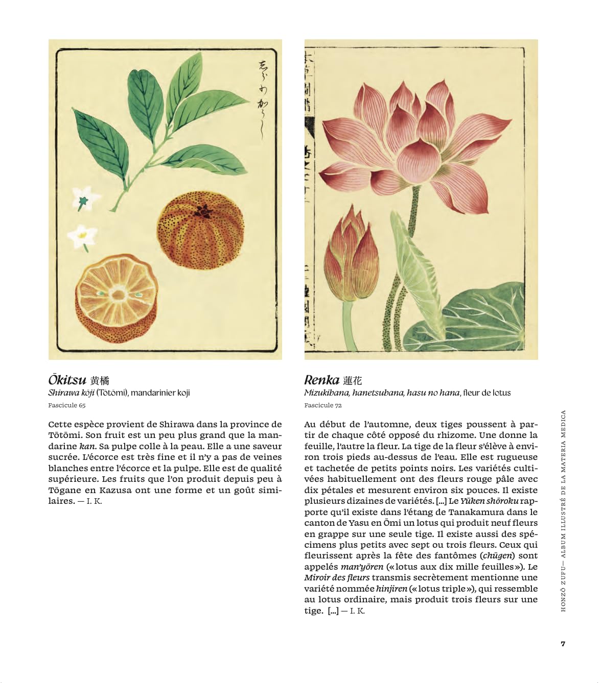 Honzo zufu: Album illustré de la materia medicae