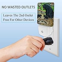 Vista 3 de LORVIES Black Bears - Luz nocturna LED con sensor automático del atardecer al amanecer, decoración nocturna para dormitorio, baño, cocina, pasillo