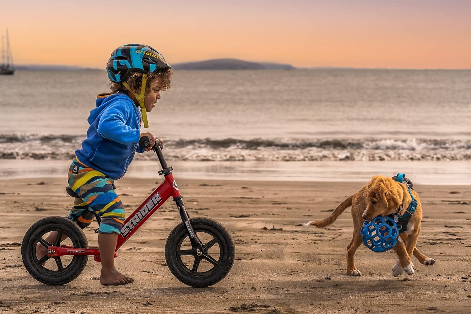 Strider - 12 Sport Balance Bike, Ages 18 Months to 5 Years, Red : Toys & Games