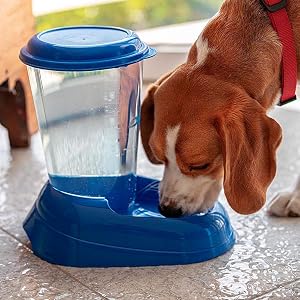 Ferplast Dispensador de Agua para Perro y Gato Nadir Drinker 3 litros
