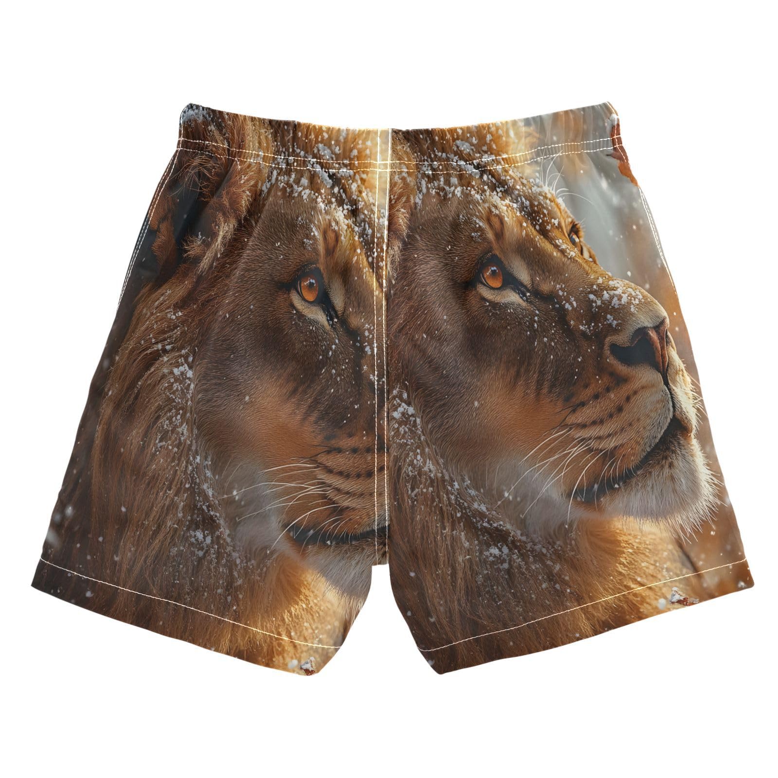 Boys Swim Trunks Toddler Swim Shorts Little Boys Swimwear Winter Lion Bathing Suit Swimsuit Multi