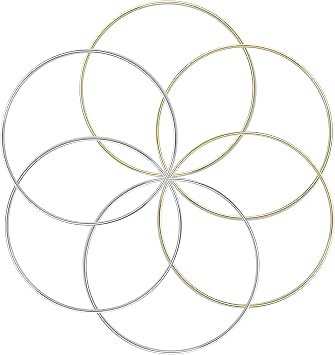 BronaGrand 6pcs Metal Rings Hoops Macrame Rings for Dream Catchers and Crafts,6 inch, Gold and Silver
