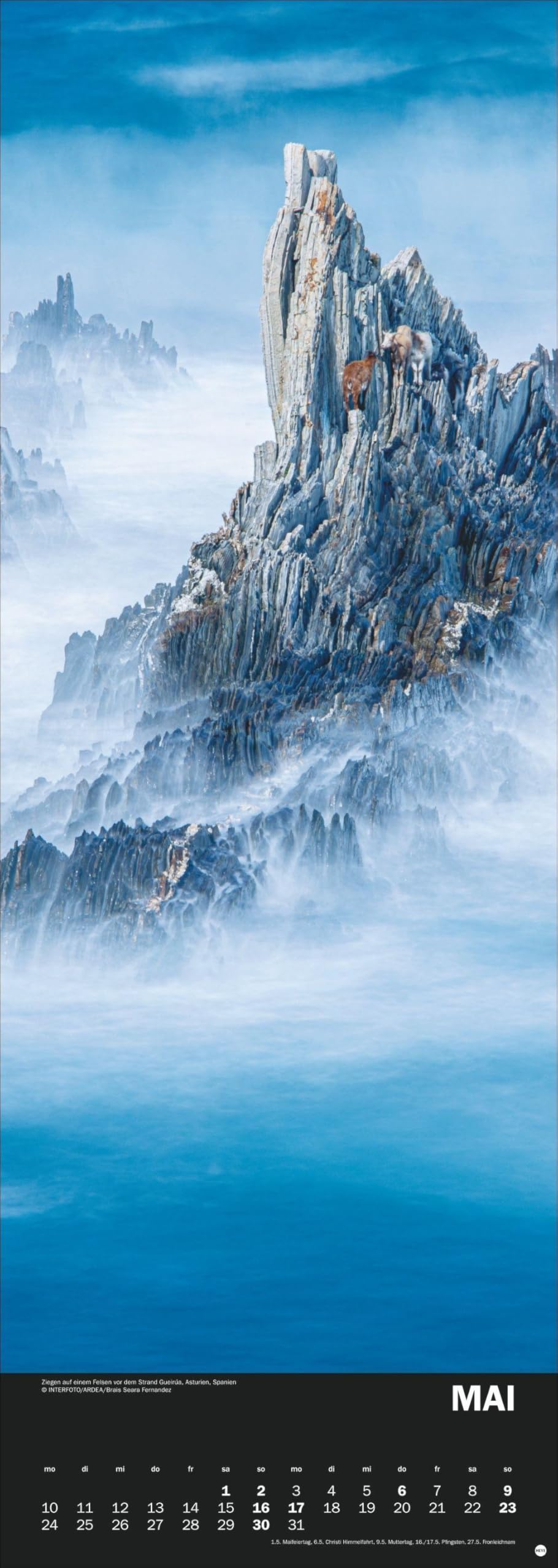 Naturgewalten Vertical Kalender 2027: Länglicher Kalender, der Naturphänomene spektakulär zur Geltung bringt. Großer Fotokalender 2027 mit beeindruckenden Naturaufnahmen.