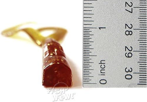 Miniatura 4 de 8 piezas de Root Beer Extended Size 5 pulgadas Twin Tail Perch Grub 4" Scampi Soft Señuelo + 3 piezas 3/4oz Shad Jighead Plain Bullet Jig Heads -