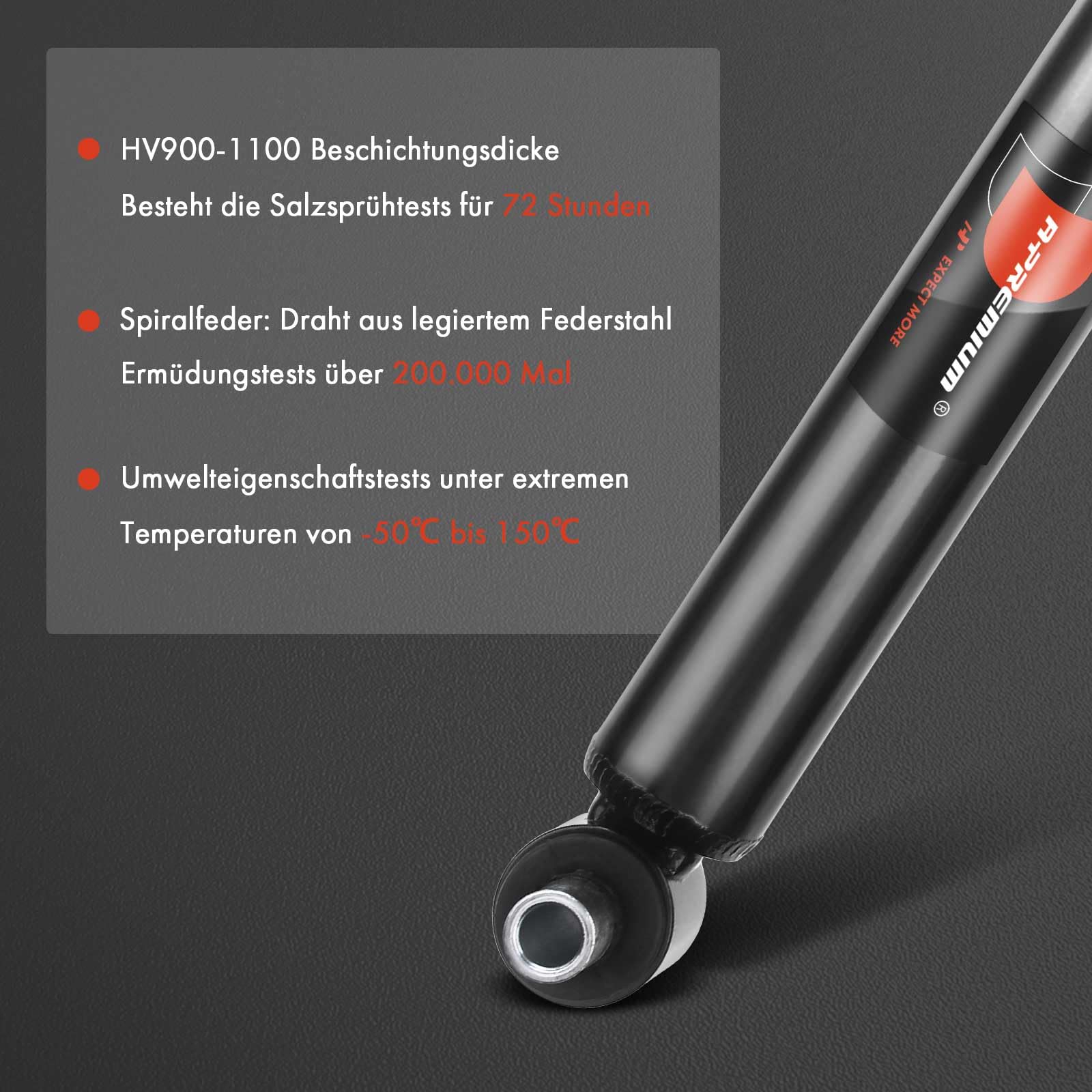 Frankberg 2x Aortizzatore Pressione del gas Posteriore Copatibile con Punto 188 1.2L-1.9L