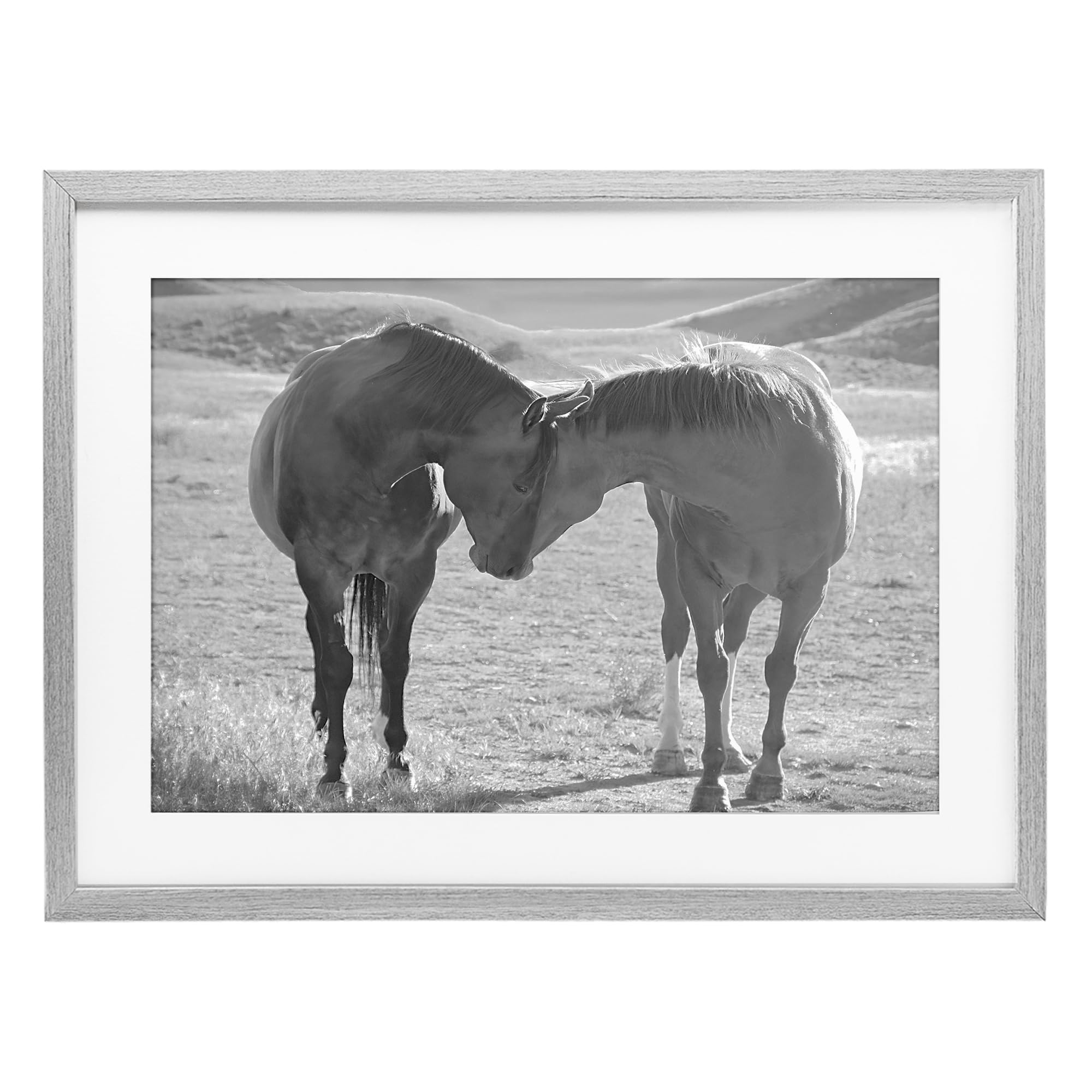 Stupell Industries Tender Horse Bond Landscape 'Sweet Nothings Bond Between Horses'| Framed Print Under Glass