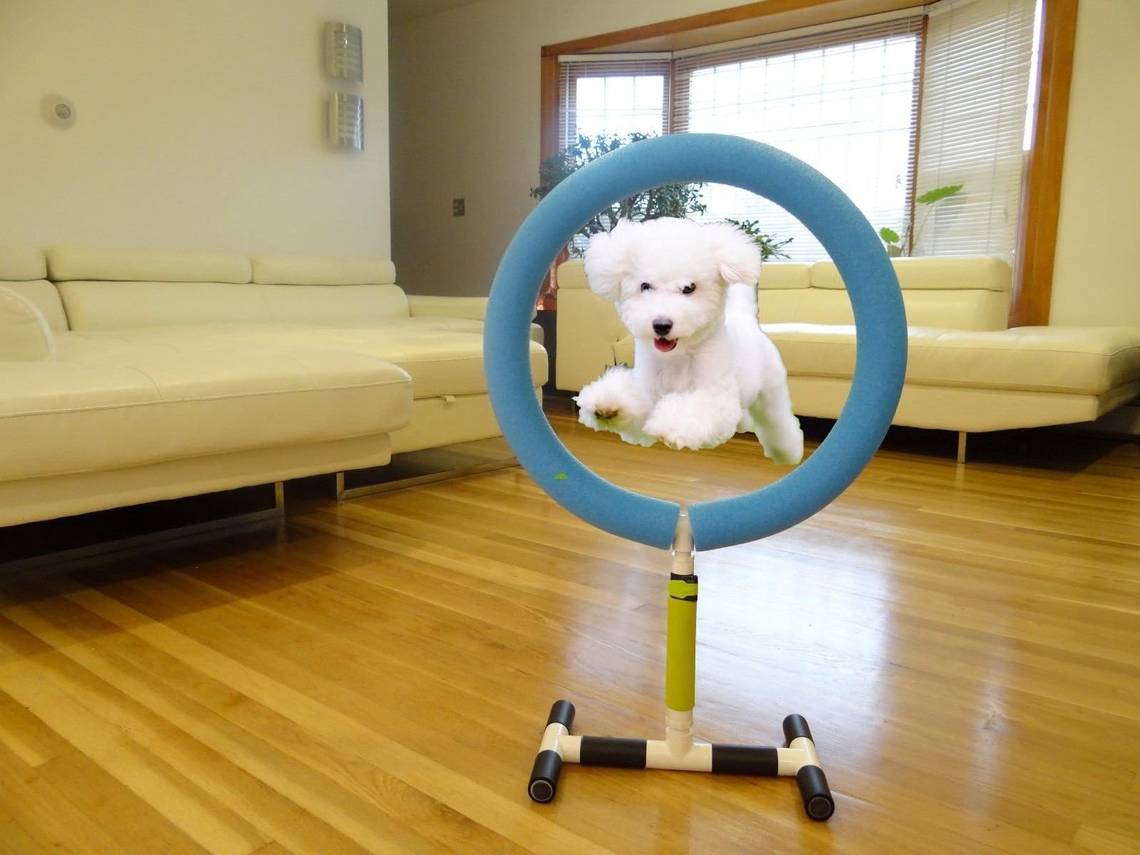 Hoop Dog Agility Training Jump Indoor Outdoor Pet Show Equipment