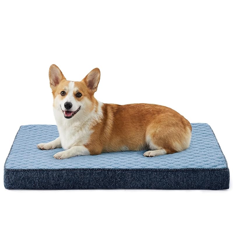 Cama para Cães Média JOEJOY com Espuma em Formato Caixa de Ovos, Capa Removível Azul 73,66 x 45,72 cm