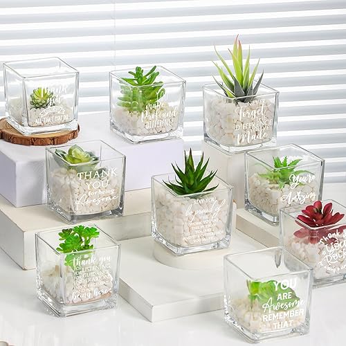 Miniatura 4 de Mumufy Jarrones de vidrio cuadrados transparentes de 3.15 pulgadas para suculentas, mini macetas de vidrio para plantas, velas, regalo de