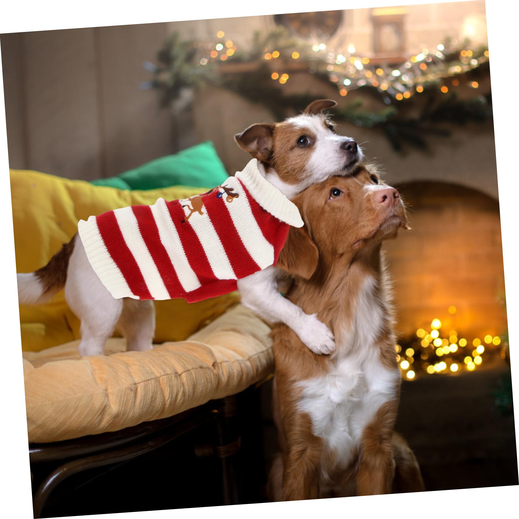 FRCOLOR Suéter de Punto para Perro Disfraz de Invierno Ropa Navideña para Mascotas Rojo para Cachorros